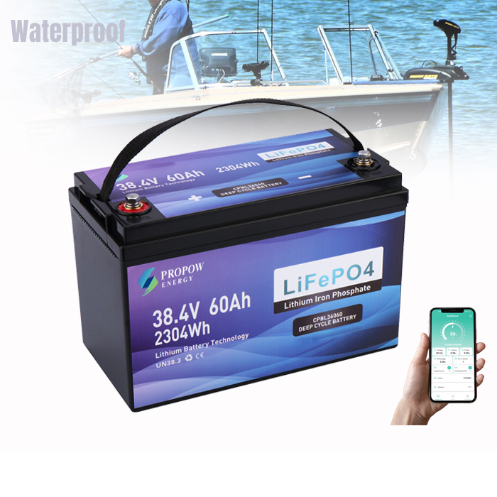 Fishing Boat Trolling Motor - Аккумуляторы для моторов 36В, литиевые батареи